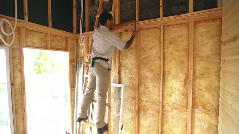 Best Commercial Insulation Services  in Franklin, KY