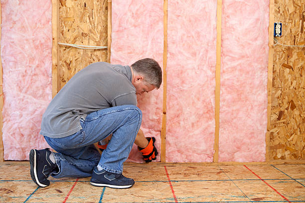 Eco-Friendly or Green Insulation Solutions in Franklin, KY